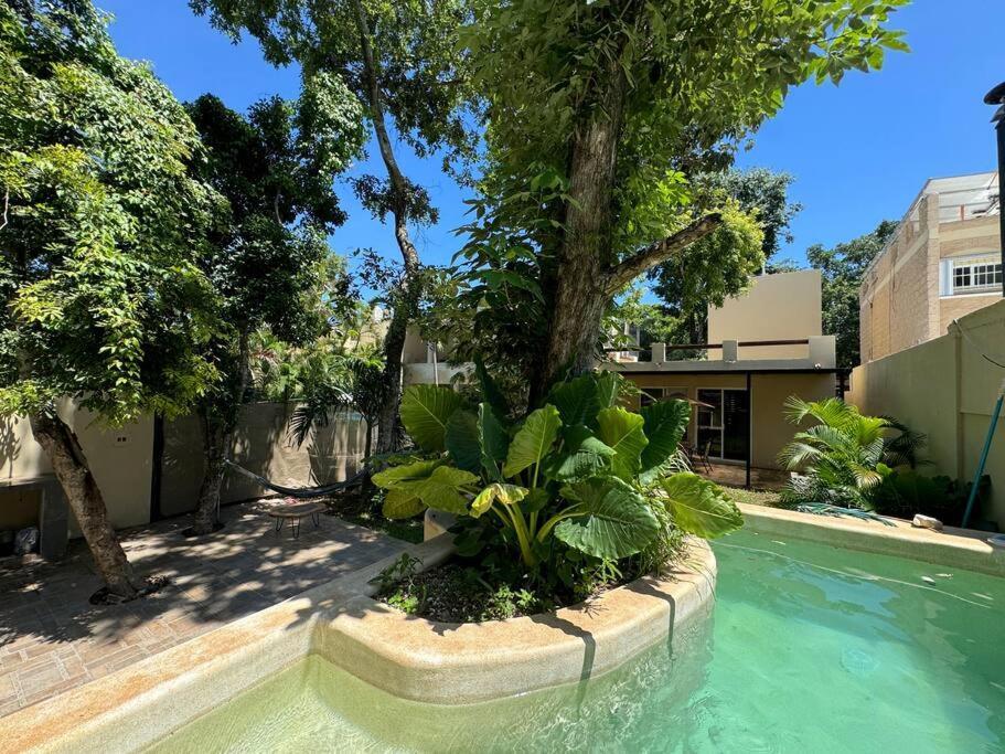 Сasa de vacaciones Lt 39 - Private Pool, Spacious Garden, Near Xcalacocobeach Playa del Carmen