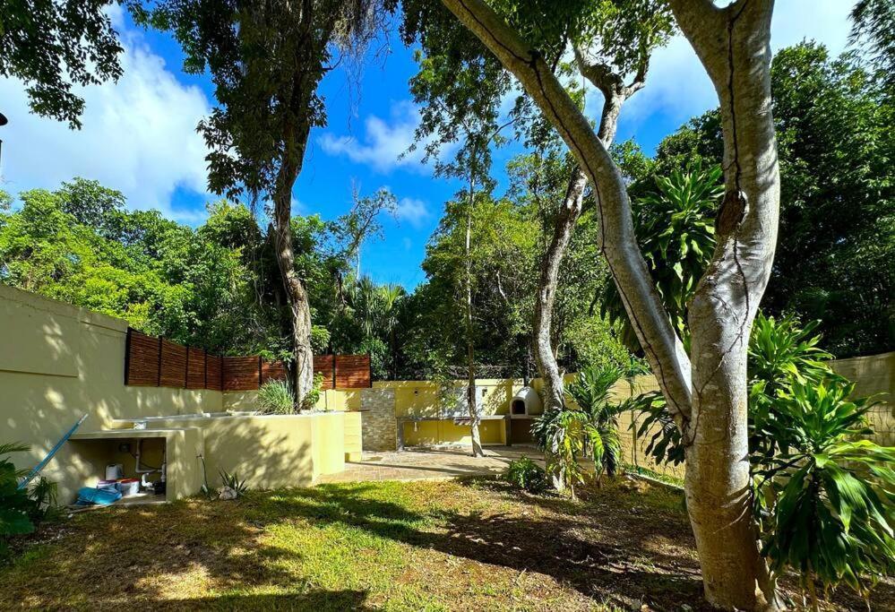 Lt 39 - Private Pool, Spacious Garden, Near Xcalacocobeach Сasa de vacaciones
