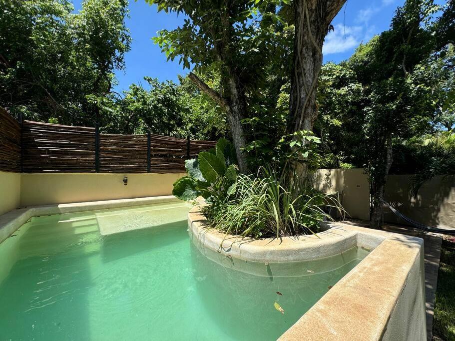Lt 39 - Private Pool, Spacious Garden, Near Xcalacocobeach Сasa de vacaciones *