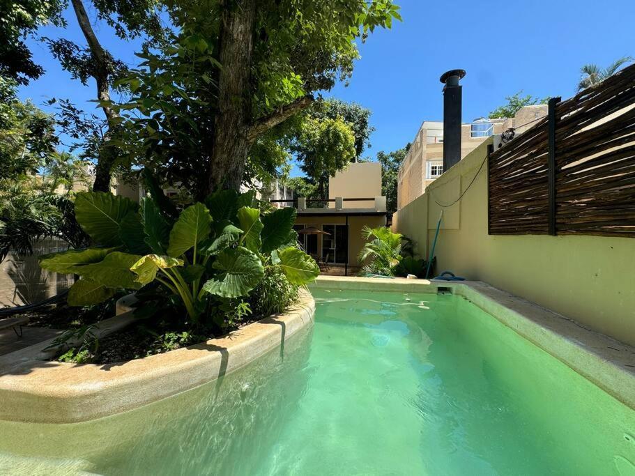 Lt 39 - Private Pool, Spacious Garden, Near Xcalacocobeach Сasa de vacaciones *